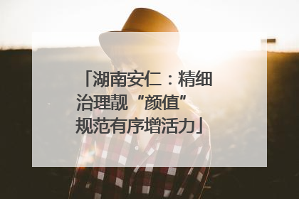 湖南安仁：精细治理靓“颜值” 规范有序增活力