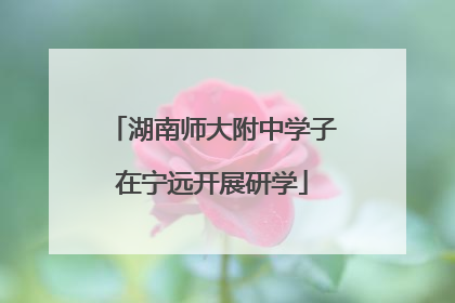 湖南师大附中学子在宁远开展研学