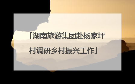 湖南旅游集团赴杨家坪村调研乡村振兴工作