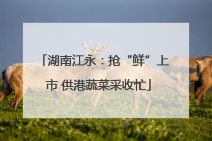 湖南江永：抢“鲜”上市 供港蔬菜采收忙