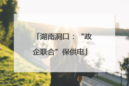 湖南洞口：“政企联合”保供电