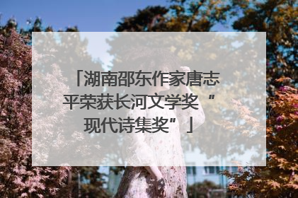 湖南邵东作家唐志平荣获长河文学奖“现代诗集奖”