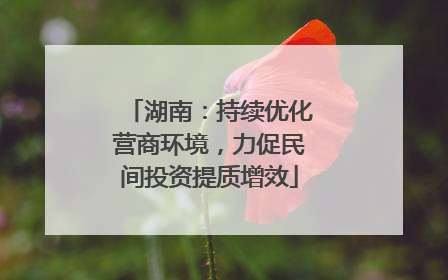 湖南：持续优化营商环境，力促民间投资提质增效