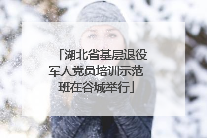 湖北省基层退役军人党员培训示范班在谷城举行