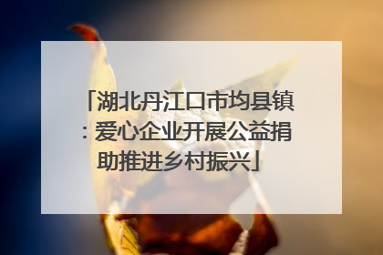 湖北丹江口市均县镇：爱心企业开展公益捐助推进乡村振兴