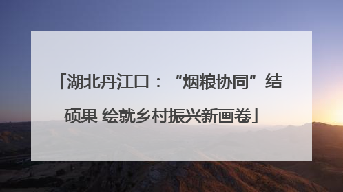 湖北丹江口：“烟粮协同”结硕果 绘就乡村振兴新画卷