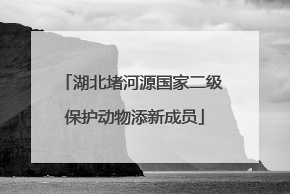 湖北堵河源国家二级保护动物添新成员
