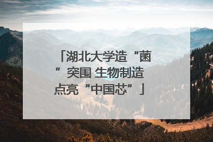 湖北大学造“菌”突围 生物制造点亮“中国芯”