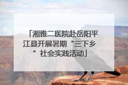 湘雅二医院赴岳阳平江县开展暑期“三下乡”社会实践活动