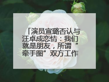 演员宣璐否认与汪卓成恋情：我们就是朋友，所谓“牵手图”双方工作人员均在场