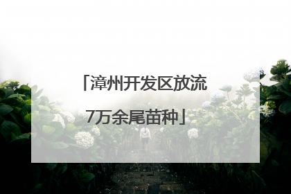 漳州开发区放流7万余尾苗种