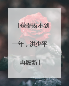 获提拔不到一年，洪少平再履新