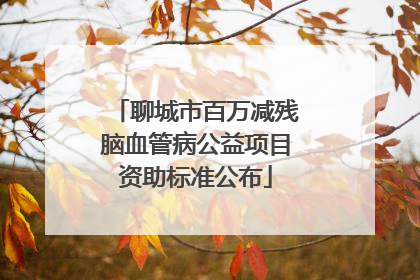 聊城市百万减残脑血管病公益项目资助标准公布