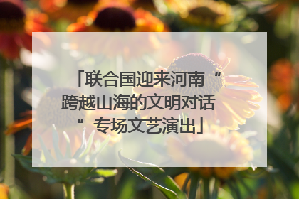 联合国迎来河南“跨越山海的文明对话”专场文艺演出