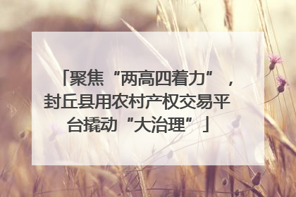 聚焦“两高四着力”，封丘县用农村产权交易平台撬动“大治理”