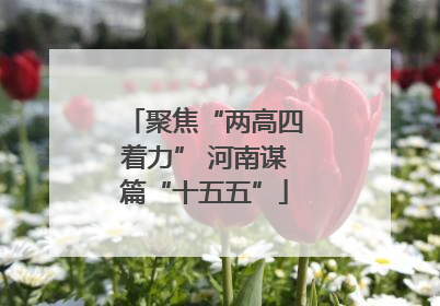 聚焦“两高四着力” 河南谋篇“十五五”