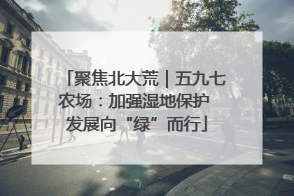 聚焦北大荒｜五九七农场：加强湿地保护 发展向“绿”而行