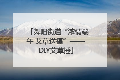 舞阳街道“浓情端午 艾草送福”——DIY艾草捶