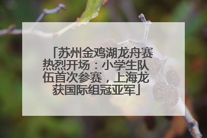 苏州金鸡湖龙舟赛热烈开场：小学生队伍首次参赛，上海龙获国际组冠亚军