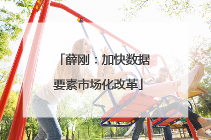 薛刚：加快数据要素市场化改革