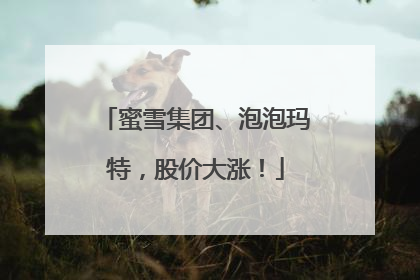 蜜雪集团、泡泡玛特，股价大涨！