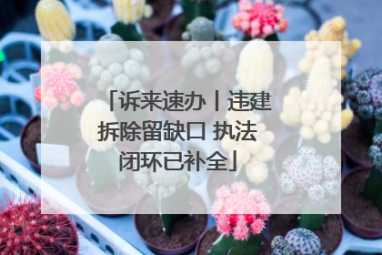 诉来速办丨违建拆除留缺口 执法闭环已补全