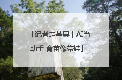 记者走基层｜AI当助手 育苗像带娃