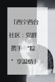 西宁西台社区：党群携手 “粽”享温情