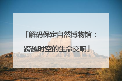 解码保定自然博物馆：跨越时空的生命交响