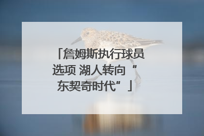 詹姆斯执行球员选项 湖人转向“东契奇时代”