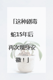 这种剧毒蛇15年后再次现身安徽！