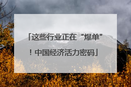 这些行业正在“爆单”！中国经济活力密码