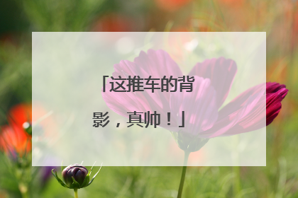 这推车的背影，真帅！