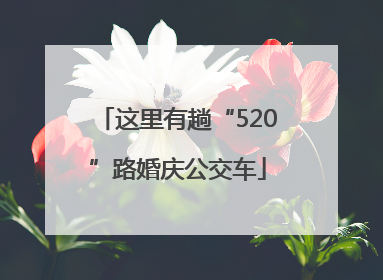 这里有趟“520”路婚庆公交车