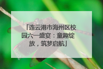 连云港市海州区校园六一盛宴：童趣绽放，筑梦启航
