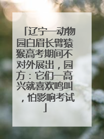 辽宁一动物园白眉长臂猿猴高考期间不对外展出，园方：它们一高兴就喜欢鸣叫，怕影响考试