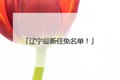 辽宁最新任免名单！