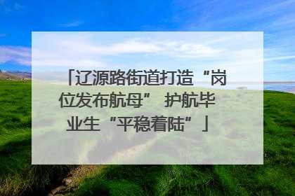 辽源路街道打造“岗位发布航母” 护航毕业生“平稳着陆”