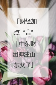 财经加点“言”｜中东财团押注山东父子