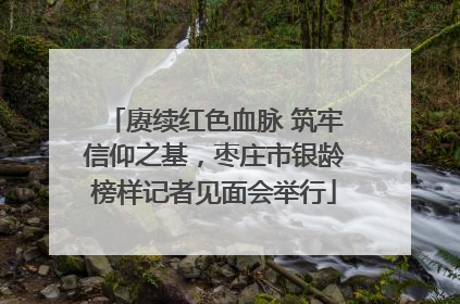 赓续红色血脉 筑牢信仰之基，枣庄市银龄榜样记者见面会举行