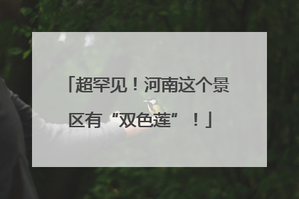 超罕见！河南这个景区有“双色莲”！