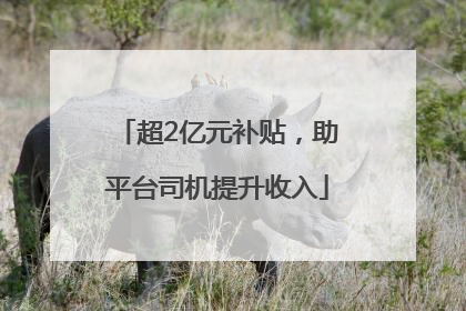 超2亿元补贴，助平台司机提升收入