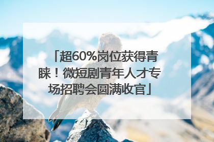 超60%岗位获得青睐！微短剧青年人才专场招聘会圆满收官