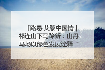 路易·艾黎中国情｜祁连山下马蹄新：山丹马场以绿色发展诠释“两山”理论实践