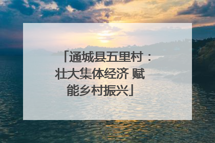 通城县五里村：壮大集体经济 赋能乡村振兴