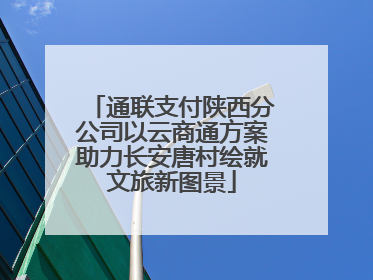 通联支付陕西分公司以云商通方案助力长安唐村绘就文旅新图景