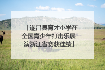 遂昌县育才小学在全国青少年打击乐展演浙江省赛获佳绩