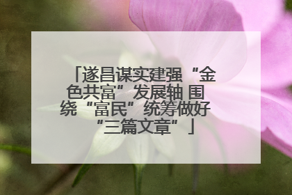 遂昌谋实建强“金色共富”发展轴 围绕“富民”统筹做好“三篇文章”