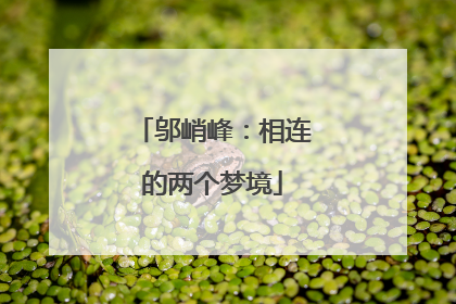 邬峭峰：相连的两个梦境
