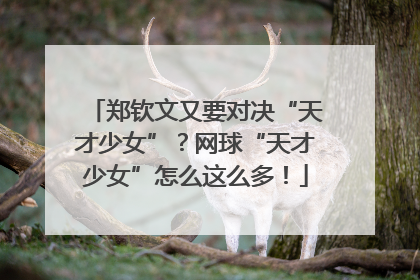 郑钦文又要对决“天才少女”？网球“天才少女”怎么这么多！